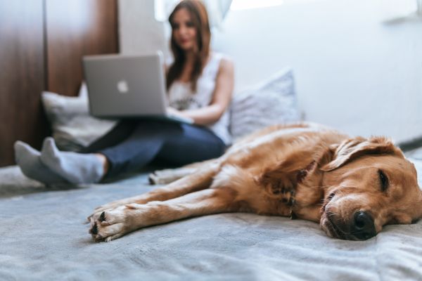 7 Legit Reasons To Take Time Off, Even if You Work Remotely